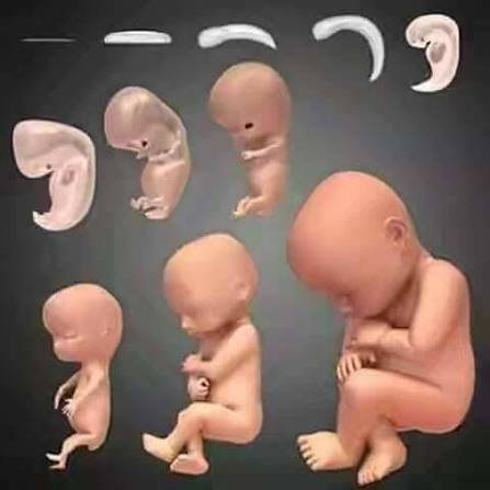 மனித உடம்பின் 99 இரகசியங்கள் !