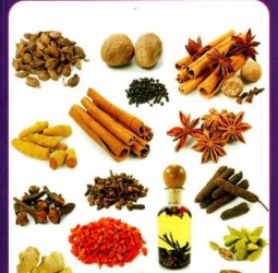 தமிழ் மருத்துவம்