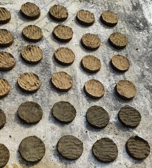 அந்நாட்களில் வீட்டு சுவர்களில் ஏன் வறட்டி காய வைக்க வேண்டும் ? இந்தப் பழக்கம் ஏன் வழக்கமானது?