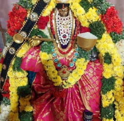 அரங்கநாதன் & அன்னபூரணி அலங்காரம்