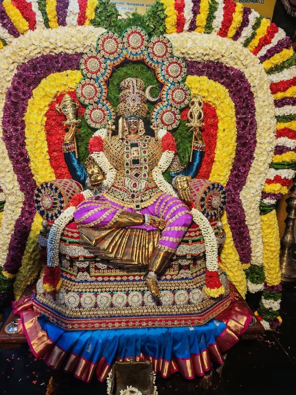மேல்மலையனூர் அங்காள பரமேஸ்வரி சிறப்பு அலங்காரத்துடன்