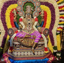 மேல்மலையனூர் அங்காள பரமேஸ்வரி சிறப்பு அலங்காரத்துடன்