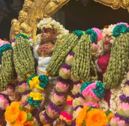 ஜெயந்திநாதர் யாகசாலையில் எழுந்தருளிய காட்சி