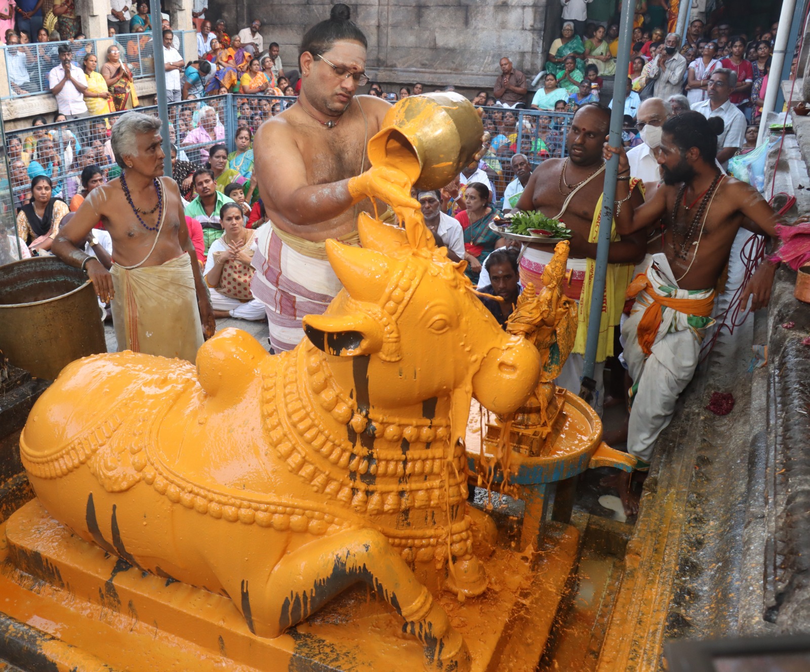 ஜலகண்டேஸ்வரர் கோயிலில் சனி பிரதோஷத்தையொட்டி, நந்திக்கு அபிஷேகங்கள், சிறப்பு சந்தனக்காப்பு அலங்காரம்