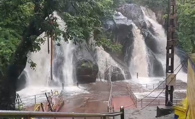 குற்றாலம் அருவிகளில் தண்ணீர் ஆர்ப்பரித்து கொட்டுகிறது