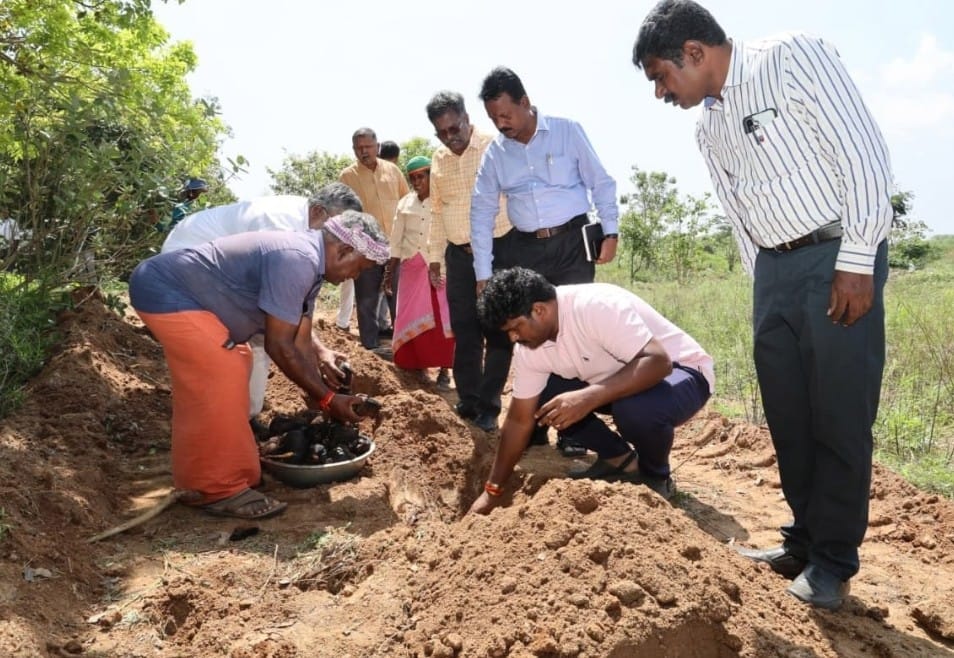 குப்பைக்கிடங்கு வளாகத்தில் பனை விதைகள் நடும் பணி