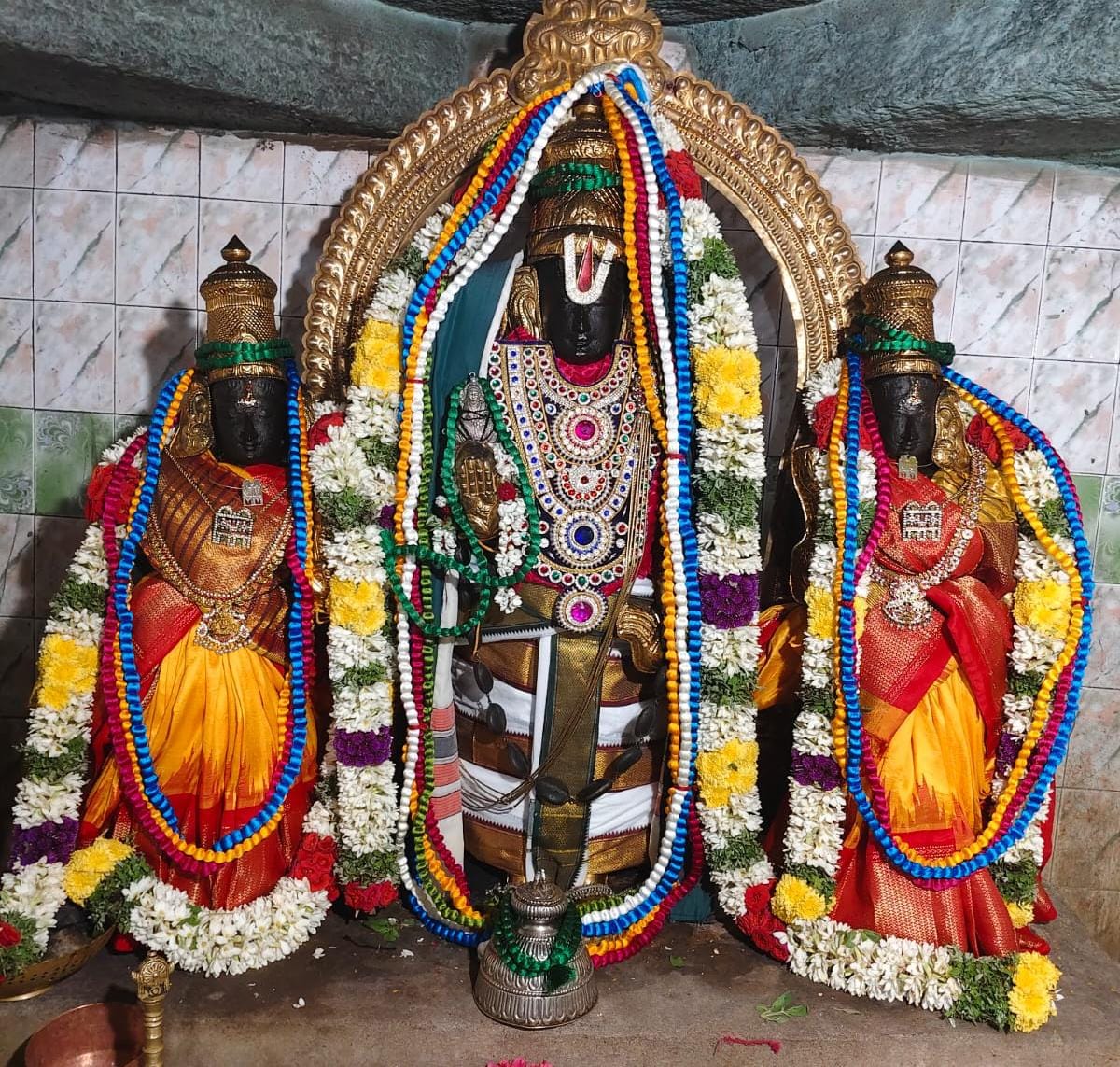 *தெள்ளார் ஸ்ரீ ஆதி நாராயண பெருமாள் திருபவித்ர உற்சவம்*