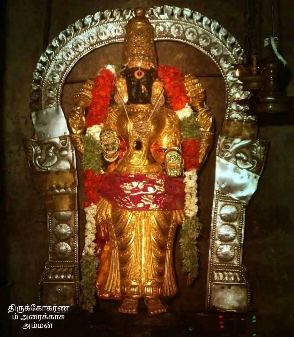 தங்க கவசம் அலங்காரத்தில் புதுக்கோட்டை ஸ்ரீ பிரகதாம்பாள்