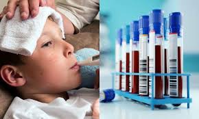 தமிழகம் முழுவதும் காய்ச்சல் பாதிப்பு அதிகரிப்பு: ரத்த மாதிரிகளை சேகரித்து ஆய்வு செய்ய சுகாதாரத்துறை முடிவு