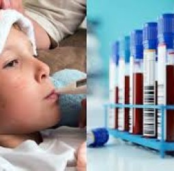 தமிழகம் முழுவதும் காய்ச்சல் பாதிப்பு அதிகரிப்பு: ரத்த மாதிரிகளை சேகரித்து ஆய்வு செய்ய சுகாதாரத்துறை முடிவு