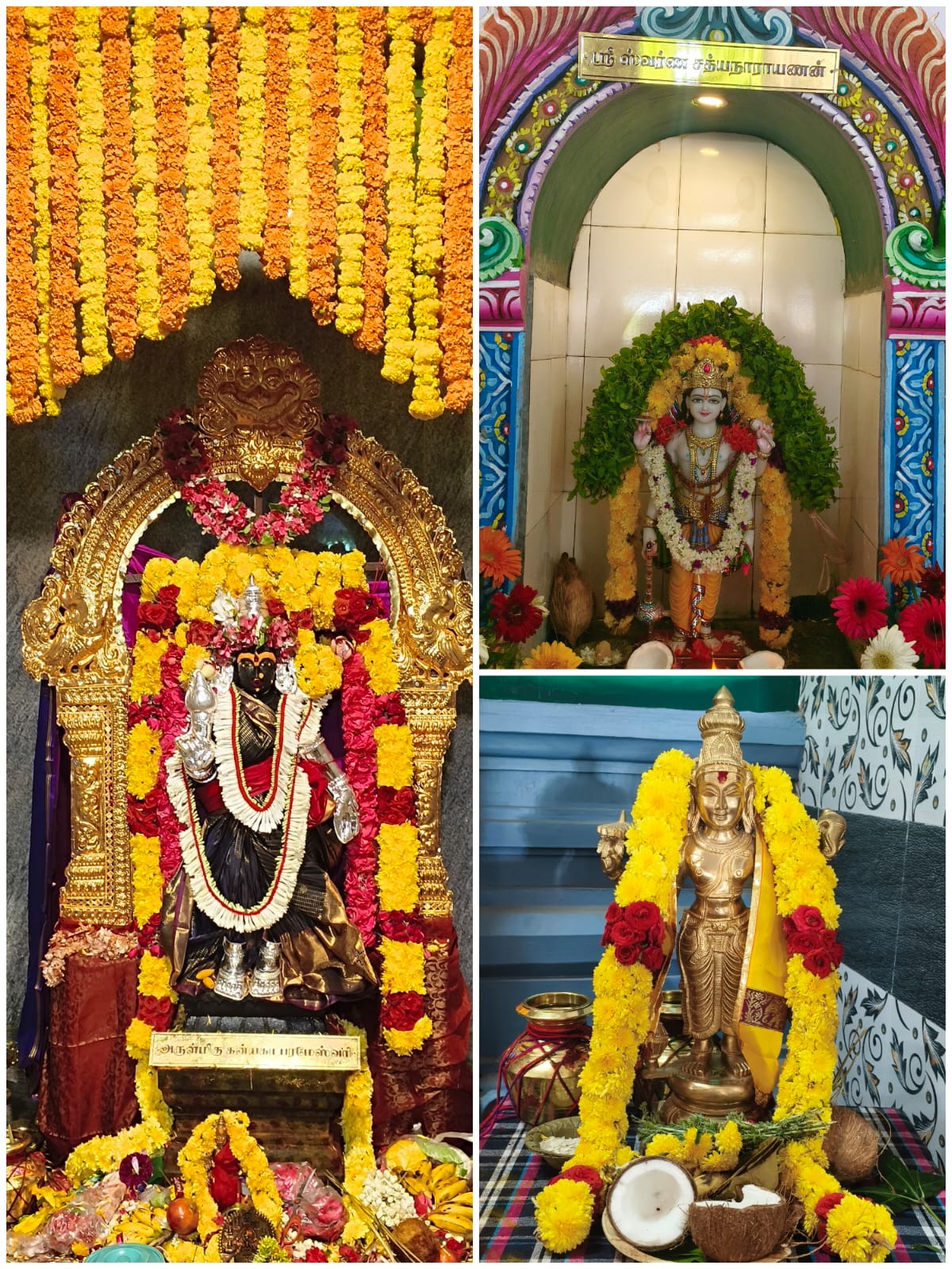 ஸ்ரீ வாசவி கன்யகா பரமேஸ்வரி அம்மன் ஆலயத்தில் இன்று ஆலய ஜீர்னோ தாரண அஷ்ட பந்தன ரஜத பந்தன மஹா கும்பாபிஷேக விழா