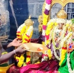 தென் திருப்பதி என அழைக்கப்படும் திருமலை வையாவூர் ஸ்ரீ பிரசன்ன வெங்கடேச பெருமாள் சுவாமிக்கு சிறப்பு பூஜை