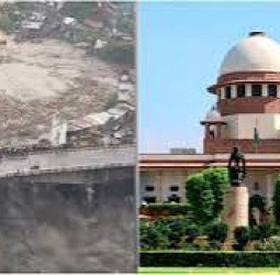 இப்படியே சென்றால் காடுகளே இருக்காது’ - மரம் வெட்டுதலை கண்டித்து உச்ச நீதிமன்றம் கருத்து