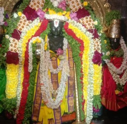 புரட்டாசி மாத பிறப்பை முன்னிட்டு காட்பாடி ஸ்ரீ வரதராஜ பெருமாள் சர்வ அலங்காரத்தில் பக்தர்களுக்கு அருள் பாலிப்பு!