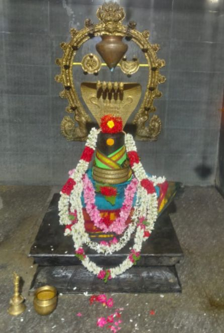 பிரதோச வழிபாட்டில் அரும்பூர் அக்னீபுரீஸ்வரர்