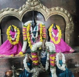 விஜயராகவப் பெருமாளுக்கு சிறப்பு பூஜைகள்..!