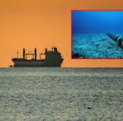 செங்கடலில் கேபிள் துண்டிப்பு; இந்தியா உள்பட ஆசியாவில் இணைய சேவை பாதிப்பு