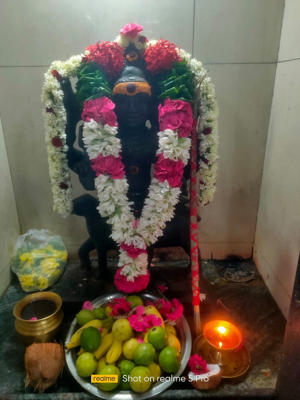 தமிழ்நாடு இ பேப்பர் டாட் காம் மற்றும் அருள் தரும் தெய்வம் இதழின் சார்பாக பைரவர் வேள்வி