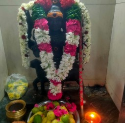 தமிழ்நாடு இ பேப்பர் டாட் காம் மற்றும் அருள் தரும் தெய்வம் இதழின் சார்பாக பைரவர் வேள்வி