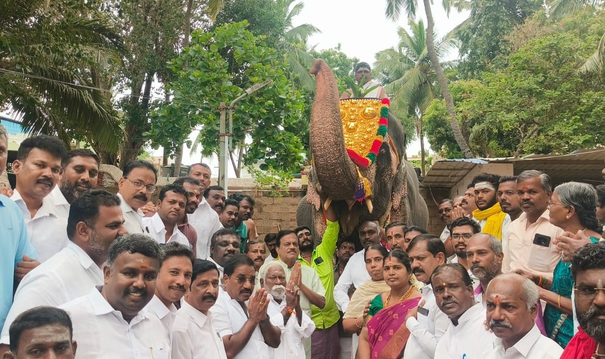 பகவதியம்மன் கோயிலுக்கு நேற்று யானை மீது புனிதநீர் எடுத்து வரப்பட்டது