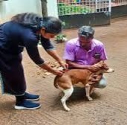 தெரு நாய்களுக்கு ரேபீஸ் தடுப்பூசி செலுத்தும் பணி தாமதமாவதாக புகாா்