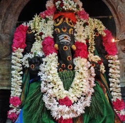 ஆவணி மாதம் சங்கடஹர சதுர்த்தி சிறப்பு பூஜை......