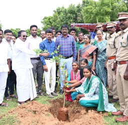 திருவண்ணாமலையில் கலைஞர் கருணாநிதி அரசு கல்லூரியில் மரக்கன்று நடும் பணி