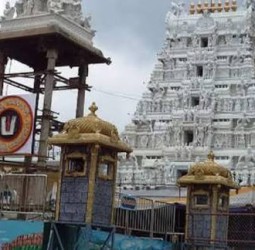 புரட்டாசி முதல் சனிக்கிழமை; திருப்பதியில் 82,042 பேர் தரிசனம்