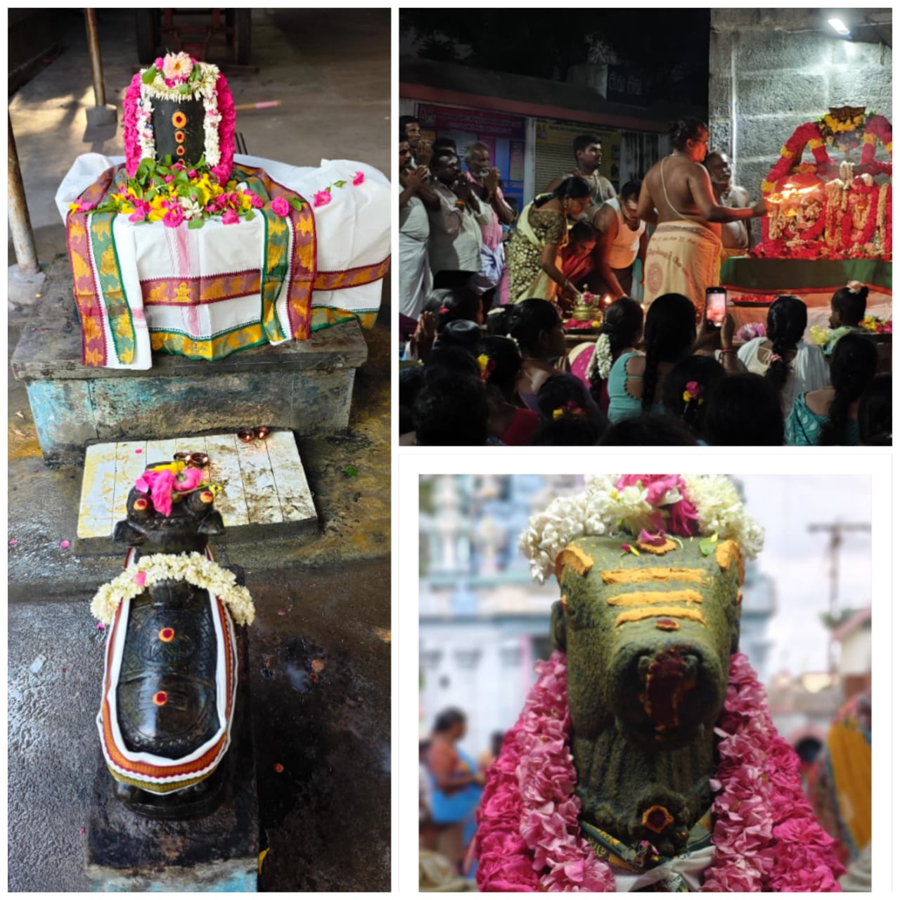 ஆவணி மாத வளர்பிறை பிரதோஷ வழிபாடு......