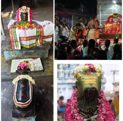 ஆவணி மாத வளர்பிறை பிரதோஷ வழிபாடு......