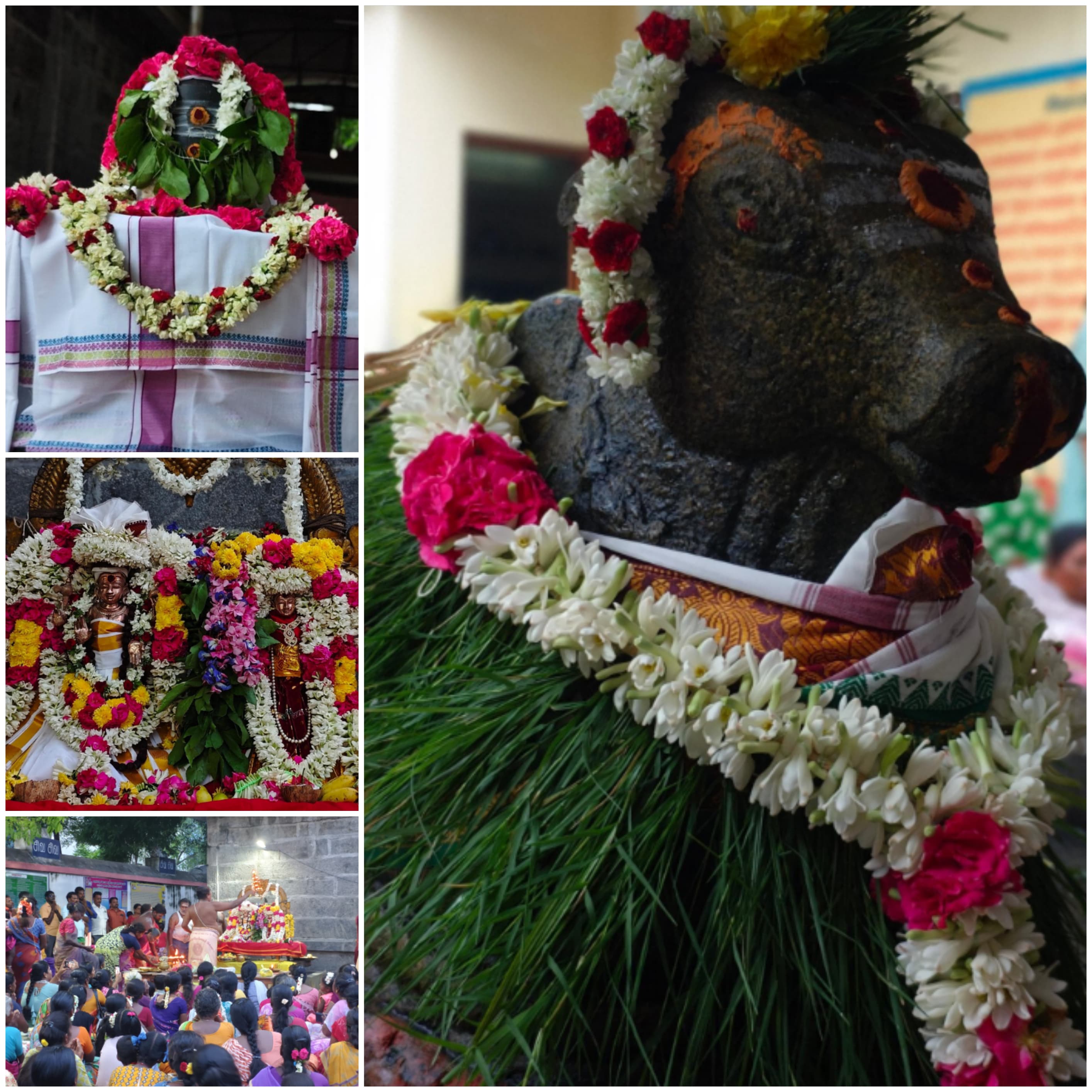 புரட்டாசி மாதம் தேய்பிறை பிரதோஷ வழிபாடு.....