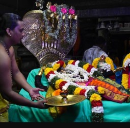 திருப்பவித்ர உத்ஸவத்தையொட்டி அனந்தசயன சேவையில் ராஜகோபால சுவாமி