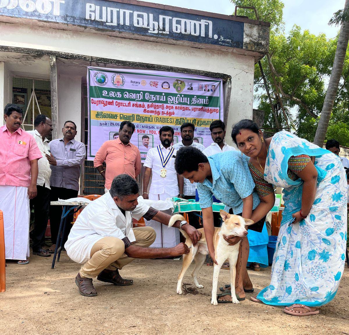 பேராவூரணியில் இலவச வெறி நோய் தடுப்பூசி முகாம்