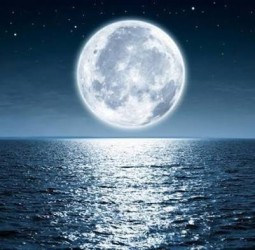 பாடும் நிலா