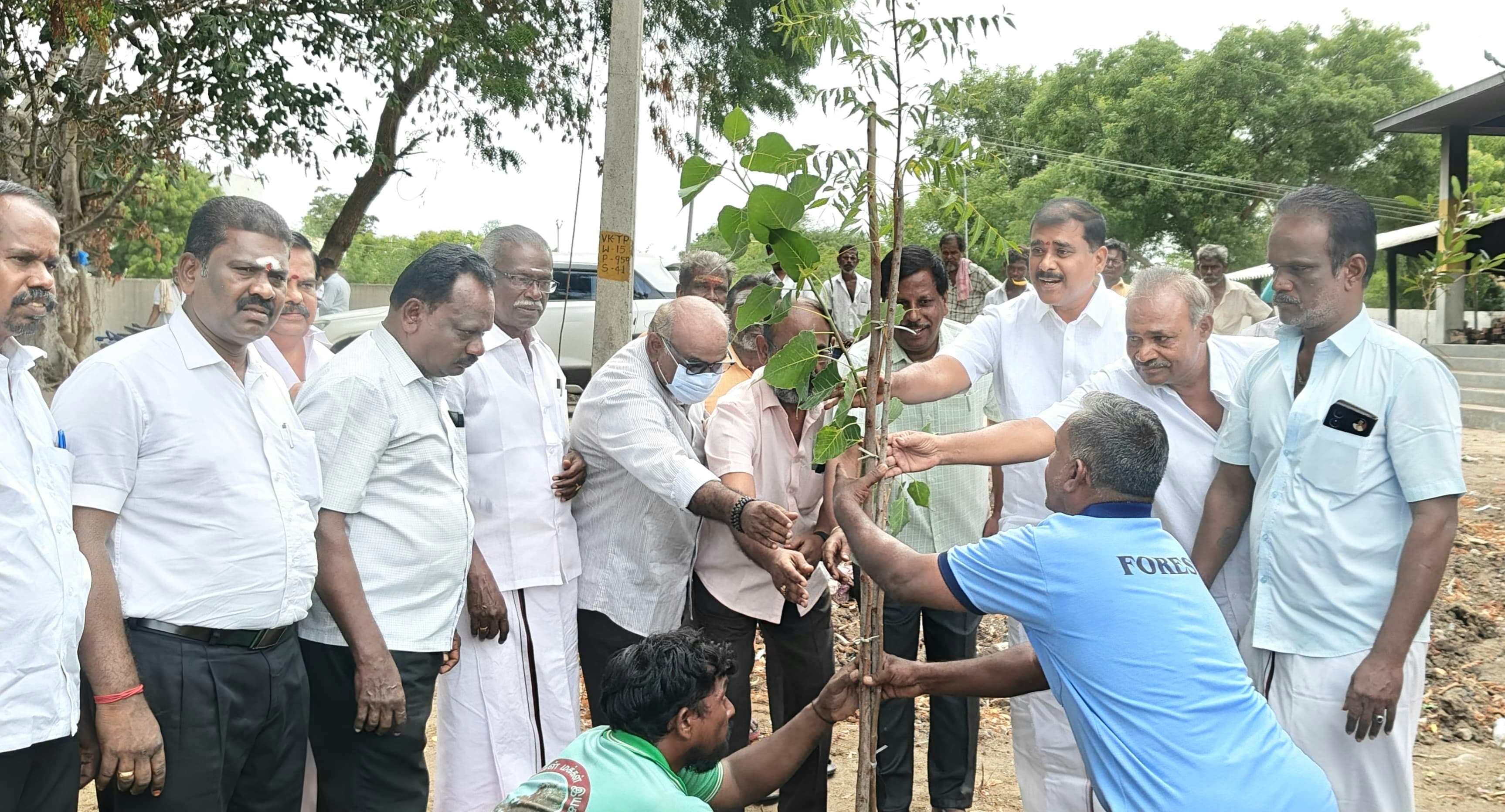 விளாத்திகுளத்தில் மரக்கன்றுகள் நடும் விழா