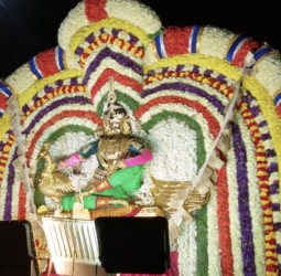 செய்யாறு -கொடநகர் பொன்னியம்மன் கோயிலில் திருவிழா முன்னிட்டு அம்மன் திருவீதி உலா: