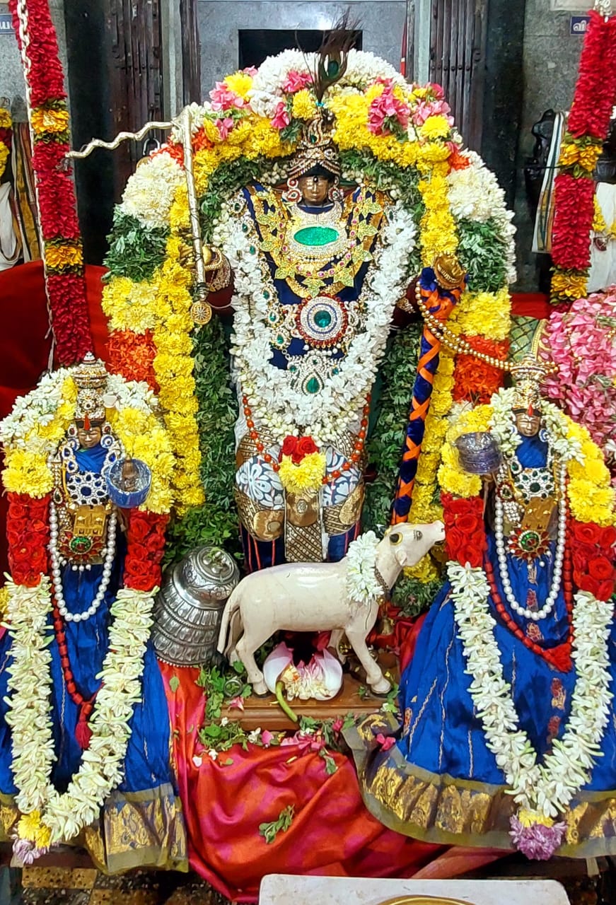 ராஜகோபால சுவாமி அலங்காரம்