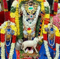 ராஜகோபால சுவாமி அலங்காரம்