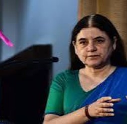 ஏழைகளை மட்டும் நாய் கடிப்பது ஏன்? - மேனகா காந்தி கடும் குற்றச்சாட்டு