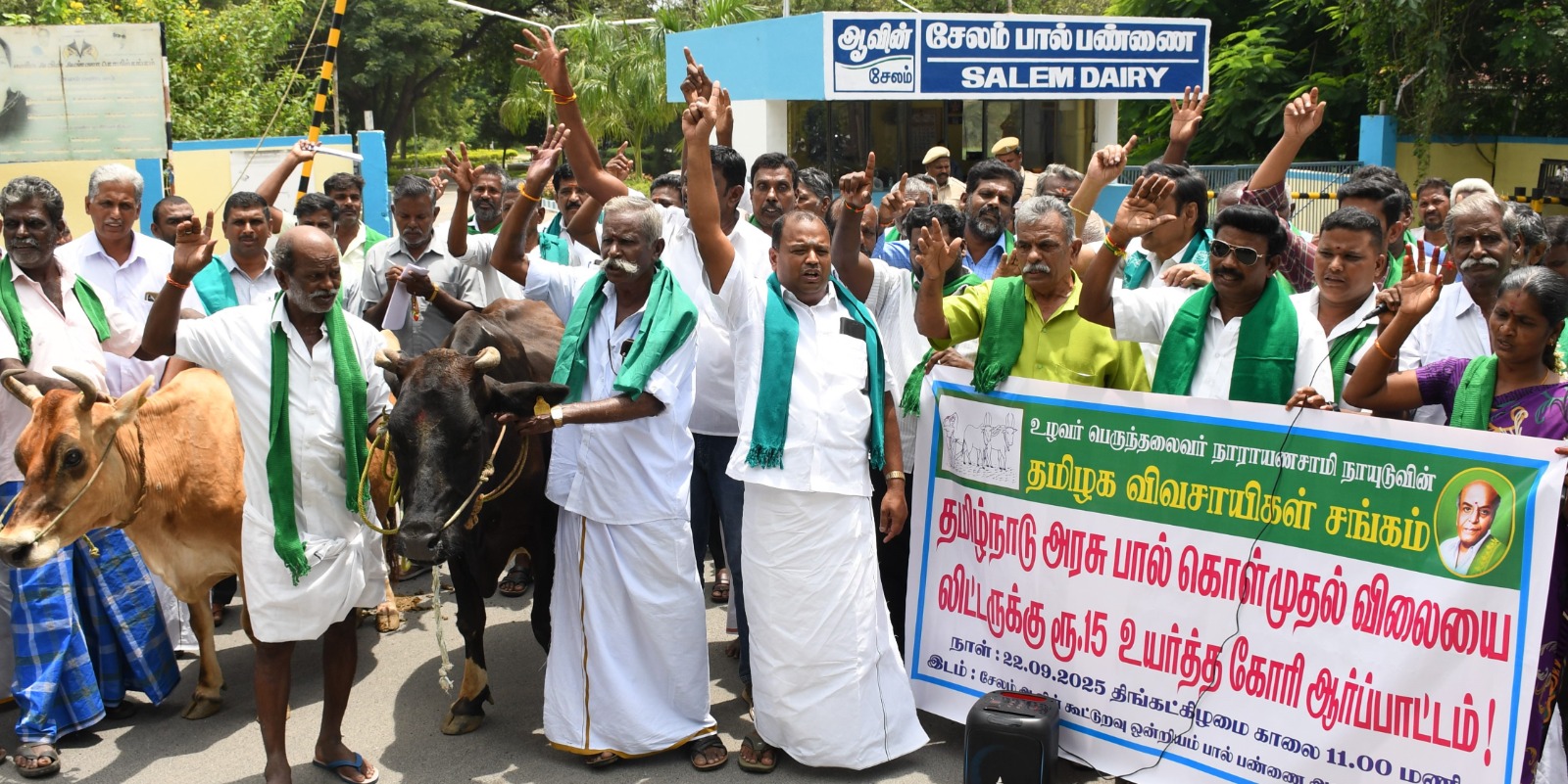 விவசாயிகள் சங்கத்தினர் நேற்று பசு மாடுகளுடன் ஆர்ப்பாட்டத்தில் ஈடுபட்டனர்