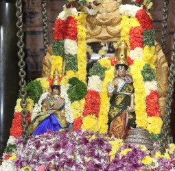 பெருமாள் தாயார் சேர்த்தி ஊஞ்சல் சேவை