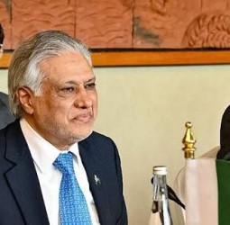 மூன்றாம் தரப்பு மத்தியஸ்தத்தில் எங்களுக்கு சம்மதமே; ஆனால் இந்தியா ஏற்பதில்லை: பாக். துணை பிரதமர்