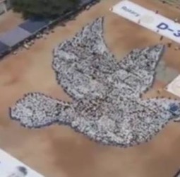 திருப்பூரில் 3203 மாணவ, மாணவிகள் சமாதான புறா வடிவில் நின்று சாதனை