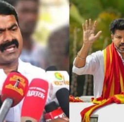 விஜய்க்கு அடிப்படை அரசியலே தெரியவில்லை: சீமான்