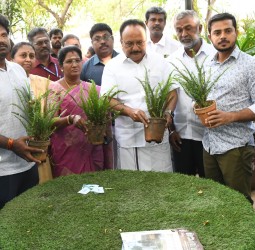 பசுமைத் தோட்டங்கள் அமைப்பது, திடக்கழிவு மேலாண்மைப் பணிகள் தொடர்பான விழிப்புணர்வு