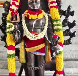 உக்கல் அருள்மிகு ஸ்ரீ கால பைரவருக்கு சிறப்பு பூஜை