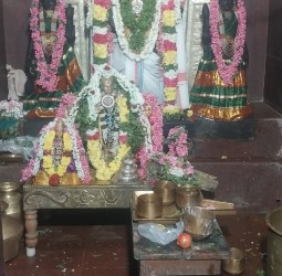 கோட்டுச் சேரியில் எழுந்தருளி இருக்கும் அருள்மிகு வரதராஜபெருமாளுக்கு புரட்டாசி முதலாவது சனி கிழமையை முன்னிட்டு சிறப்பு திருமஞ்சனம்