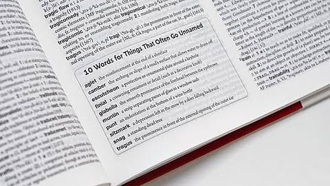 22 ஆண்டுகளுக்குப் பிறகு மெரியம் - வெப்ஸ்டர் டிக்‌ஷனரி! 5,000 புதிய சொற்கள்!