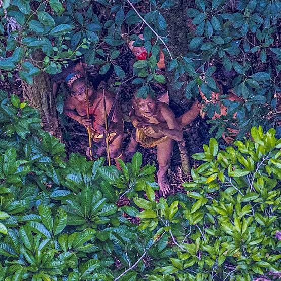 அமேசான் பாதுகாப்புக்காக போராடியவர்கள் படுகொலை