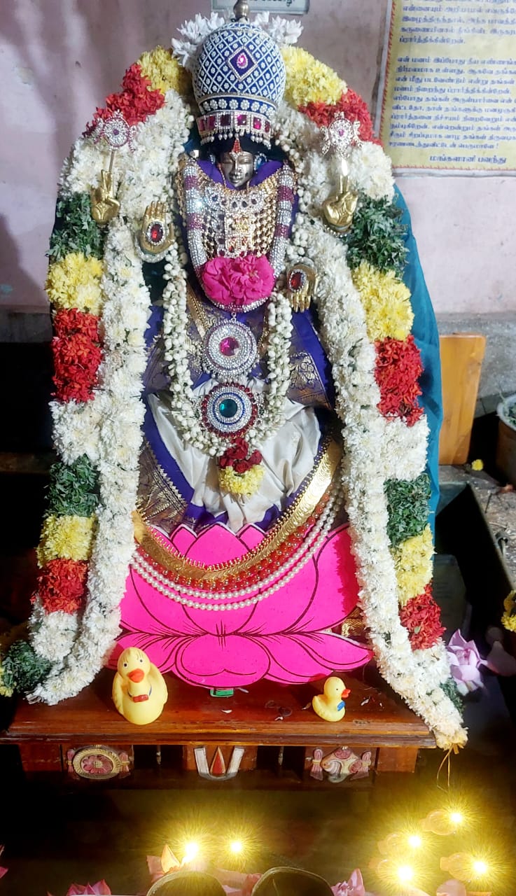 ஸ்ரீ பிரஸன்ன வேங்கடேஸப் பெருமாள் திருக்கோவிலில் நேற்று (25.09.2025) நவராத்திரி மூன்றாம் நாள் ராமர் அலங்காரத்திலும் மற்றும் தனித்தாயார் தடாகத்தில் சங்கு சக்கர ஹஸ்த அலங்காரத்திலும் காட்சி